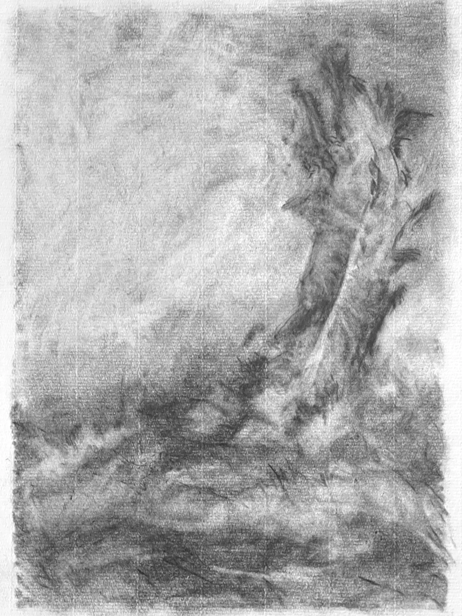 Crayonné d'après peinture III