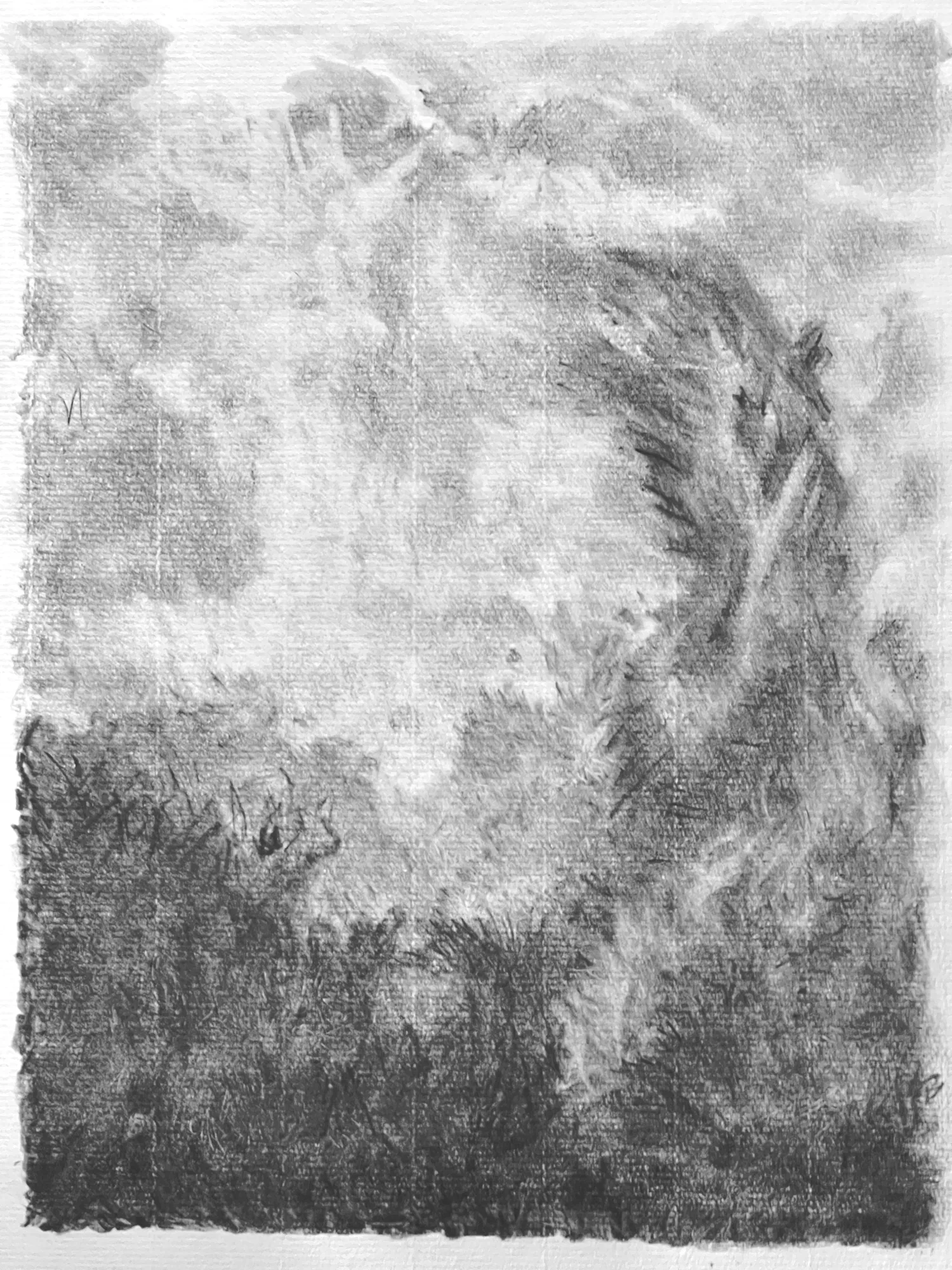 Crayonné d'après peinture IV