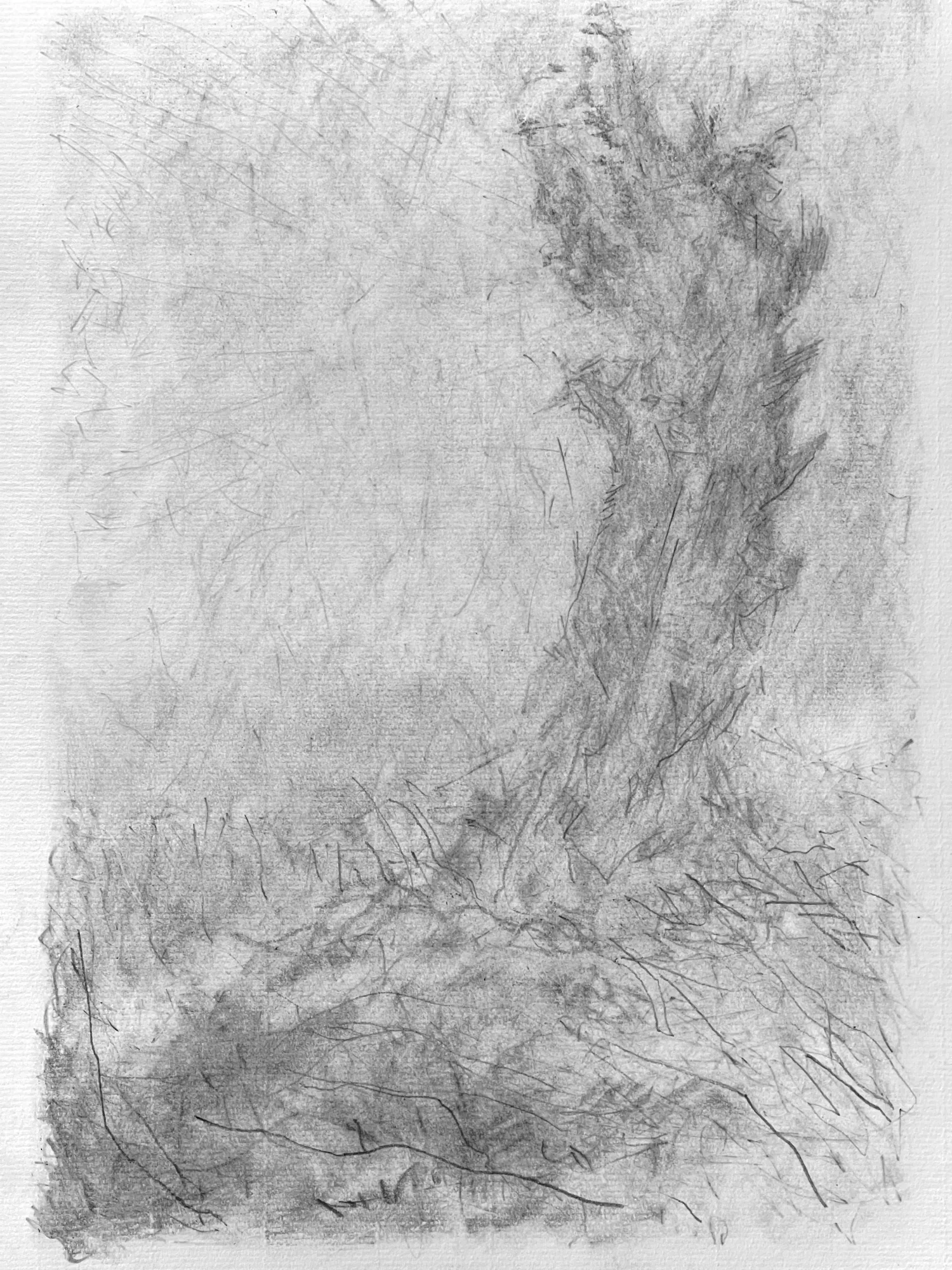 Crayonné d'après peinture VI