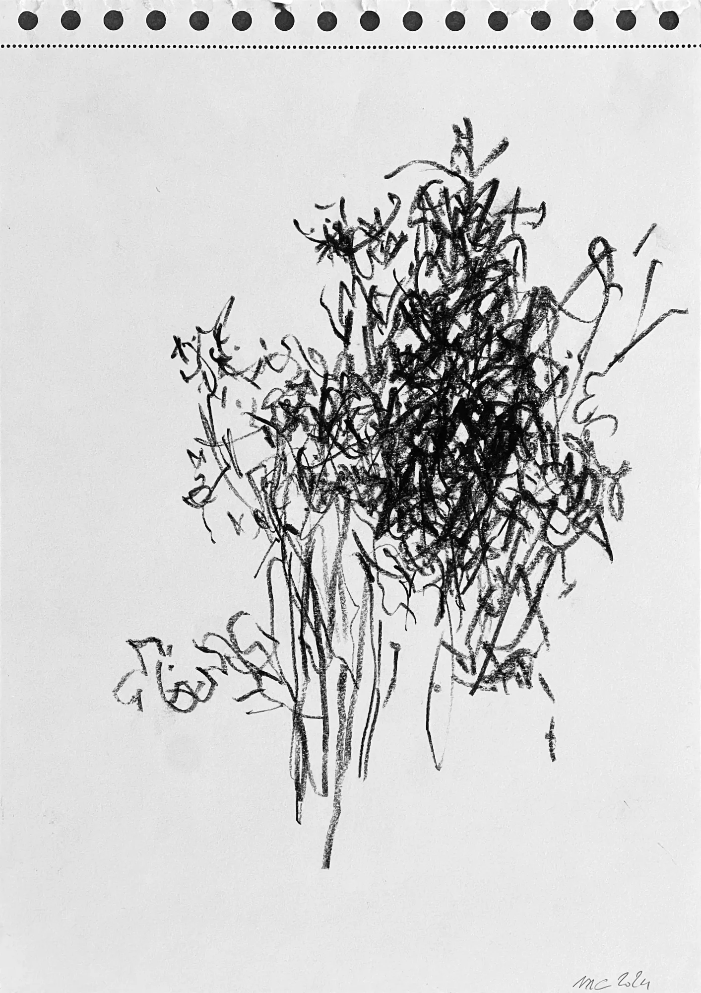 Nature I