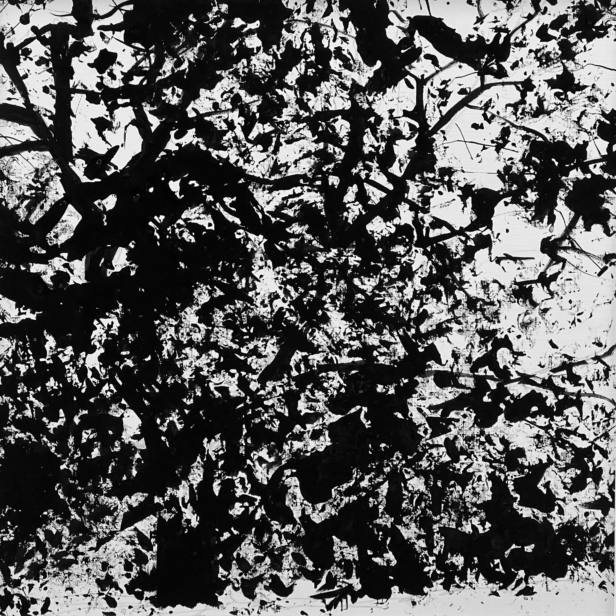 Arborescence