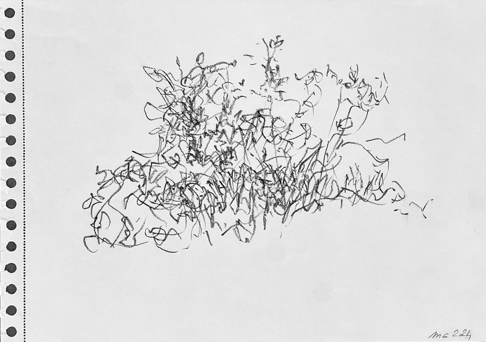 Nature II