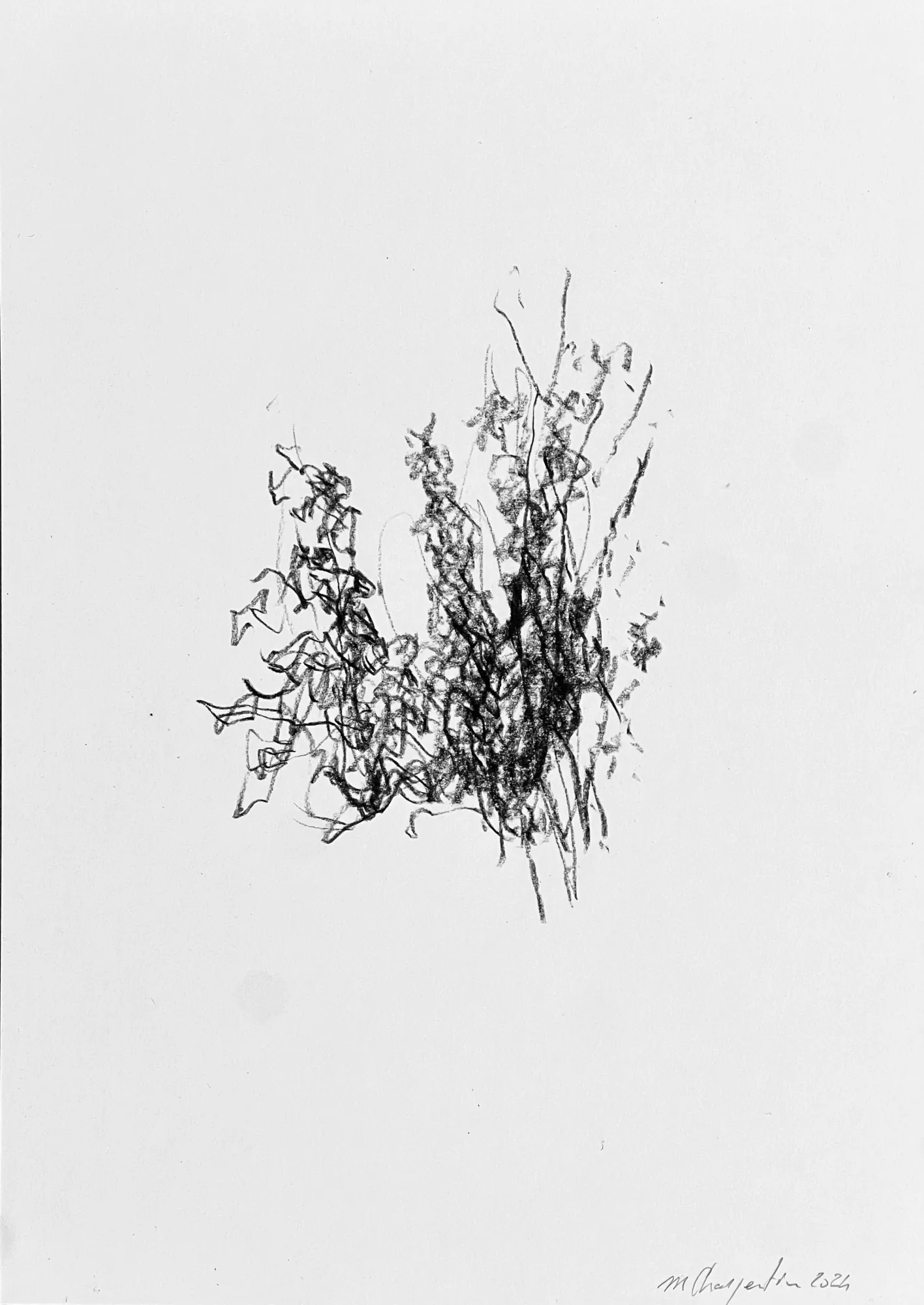 Nature IV