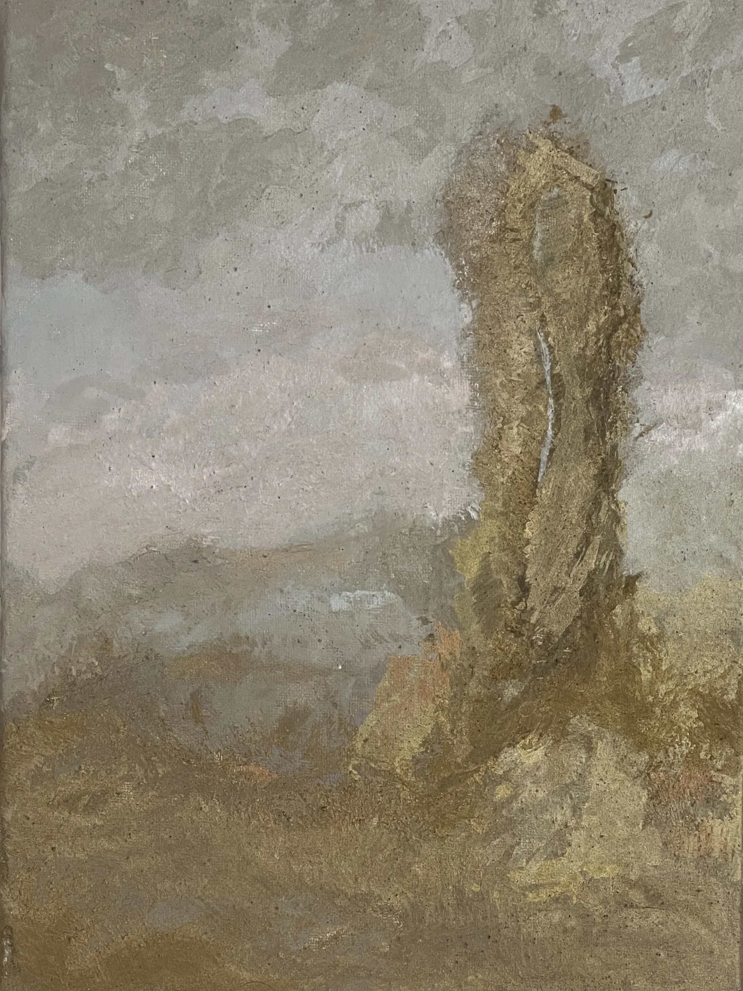 Série Paysages du Souvenir où Souvenirs du paysage (IX)