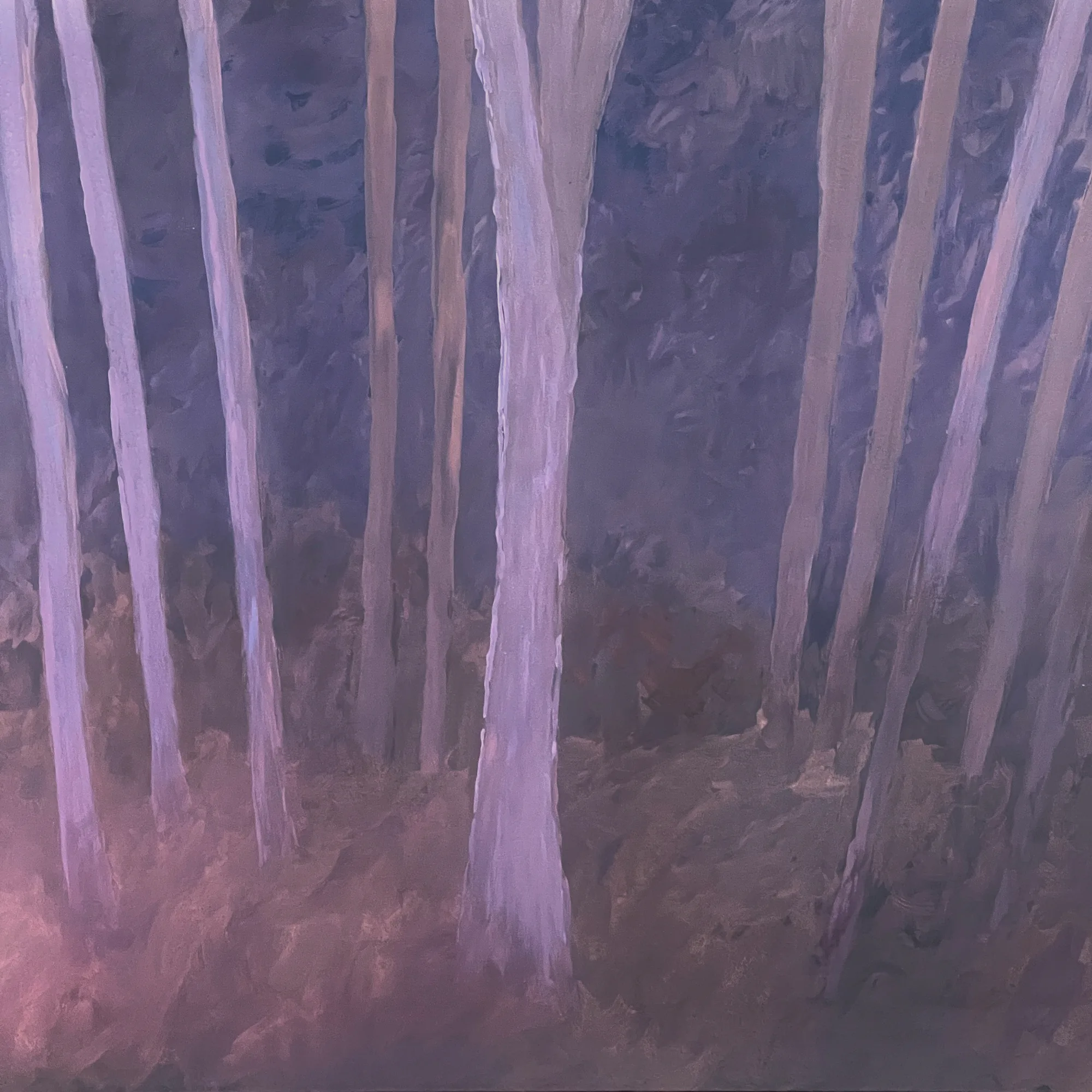 Dans la forêt