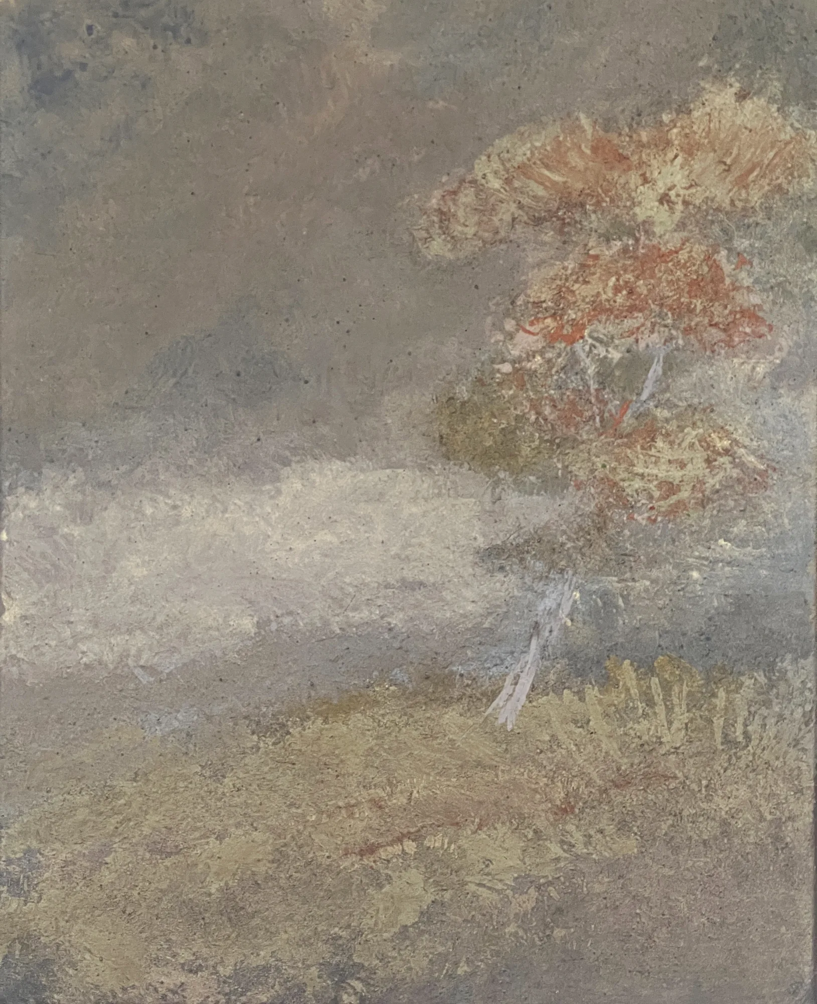 Série Paysages du Souvenir où Souvenirs du paysage (XVIII)