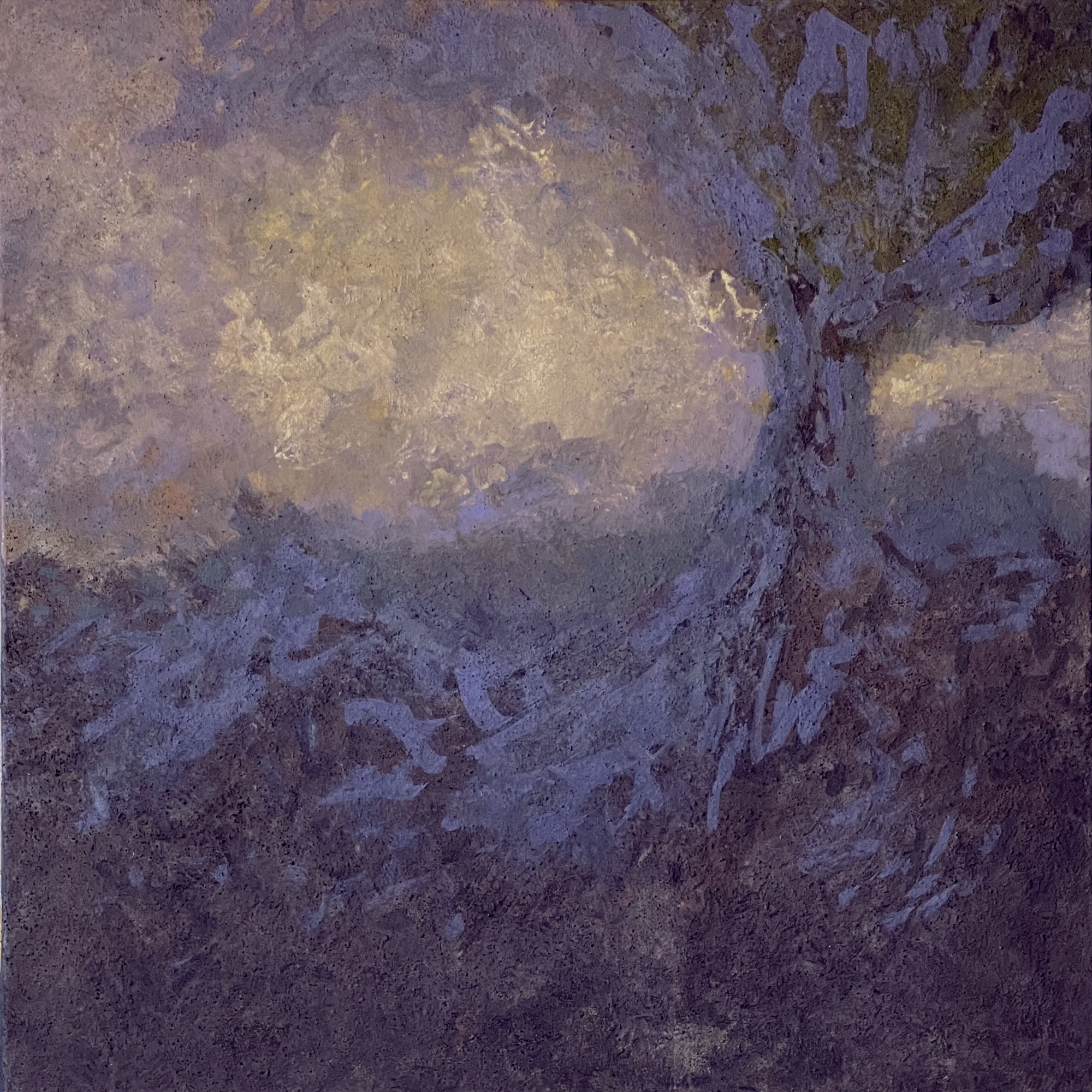 Arbre au crépuscule