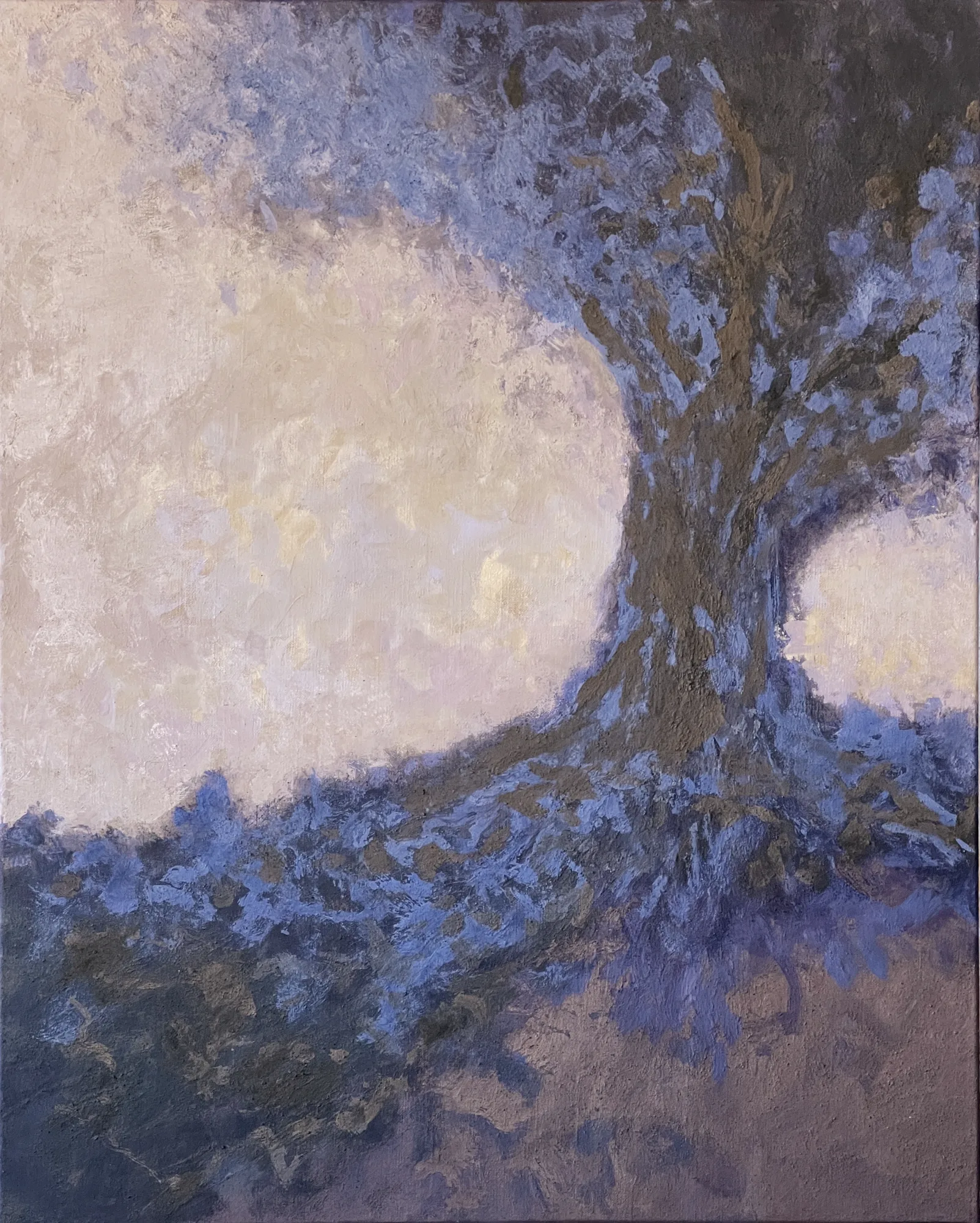 Arbre dans la douceur de l'aube