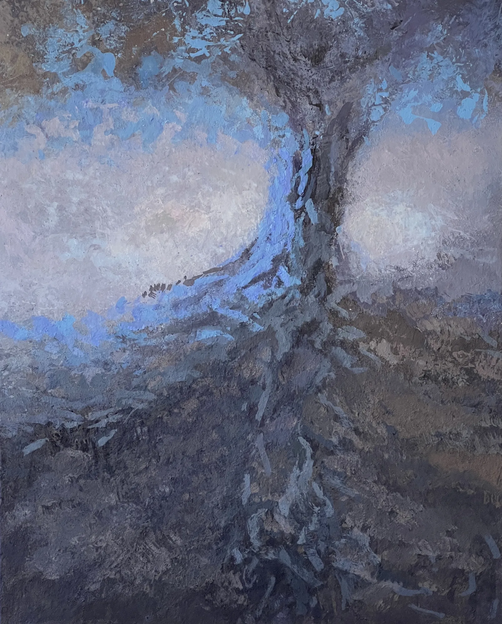 Arbre à l'aube froide