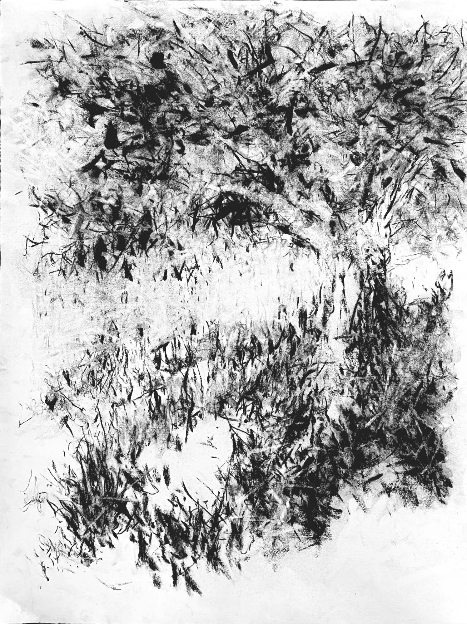Arbre au coeur