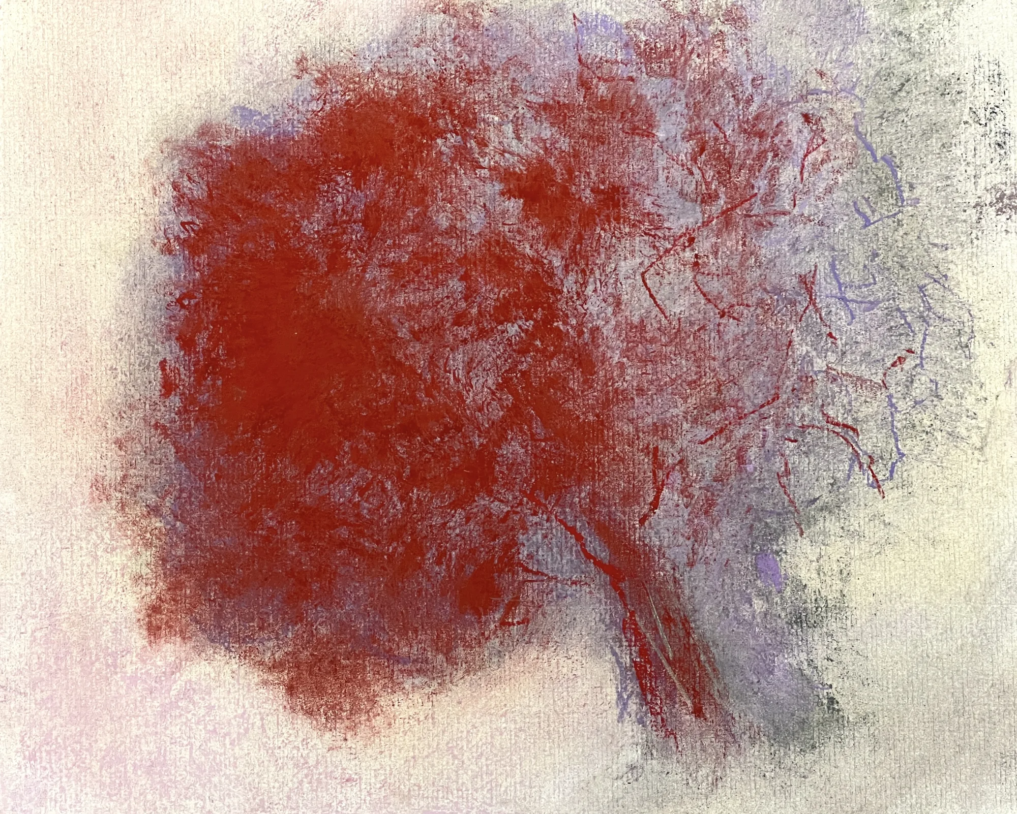 Albero rosso