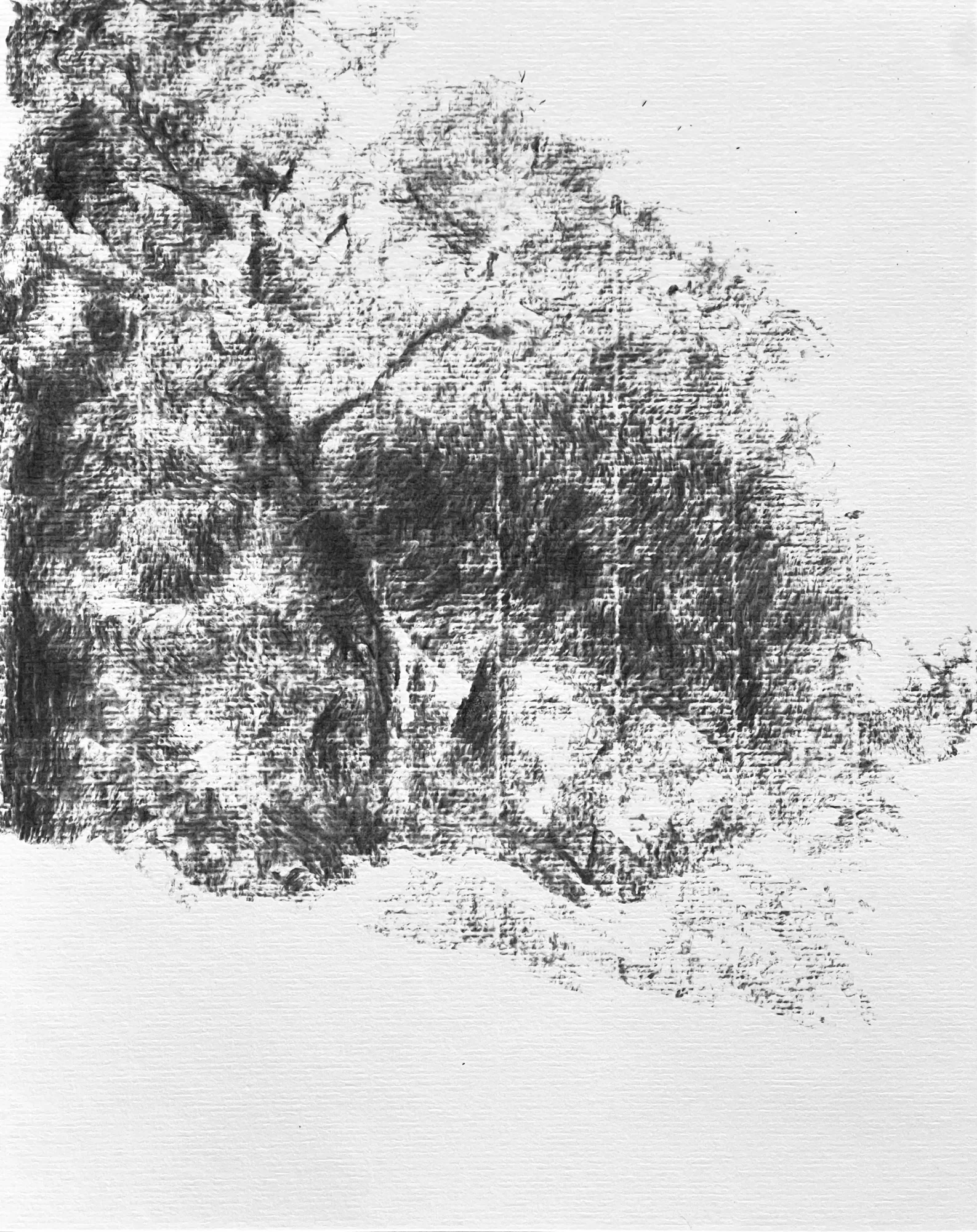 En lisière de la forêt intérieure (I)