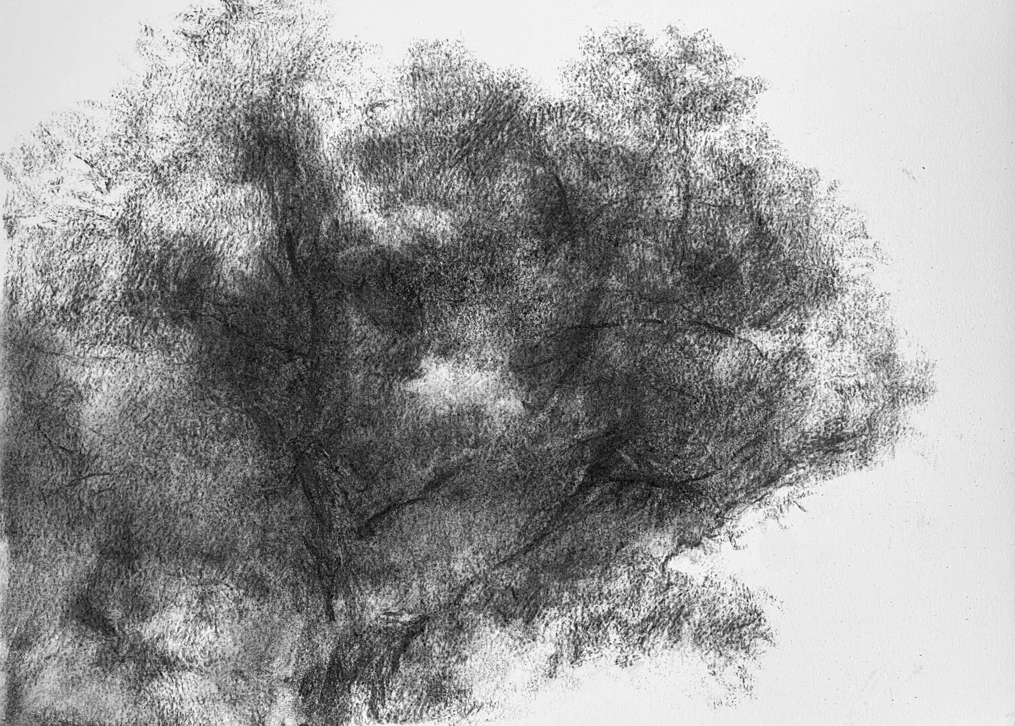 Configuration arborescente (I)